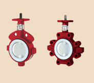 PTFE Lined Butterfly Valves