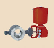 Segmented Ball Valve